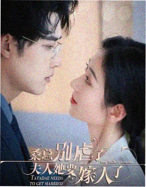 我的前半生幕后纪实封面